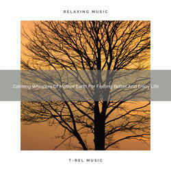 Tunes Of Mother Earth For Rest And Return