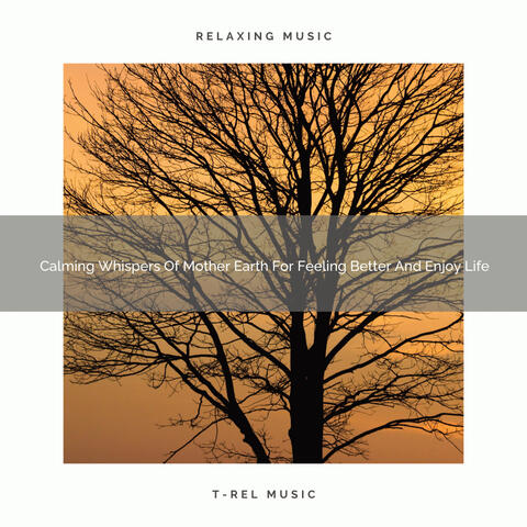 2020 Best: Calming Whispers Of Mother Earth For Feeling Better And Enjoy Life