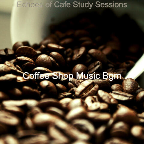 Echoes of Cafe Study Sessions