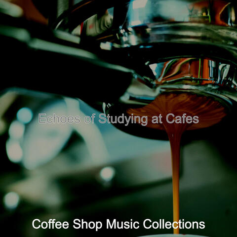 Echoes of Studying at Cafes