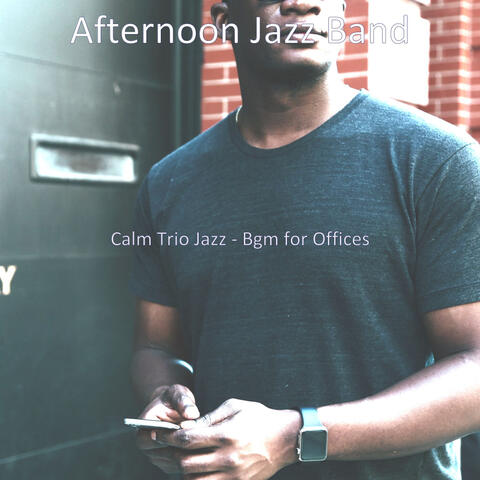 Calm Trio Jazz - Bgm for Offices