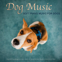 Relaxing Piano Music for Pets