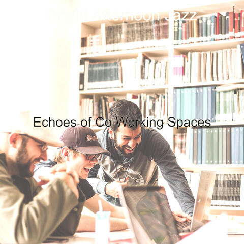 Echoes of Co Working Spaces