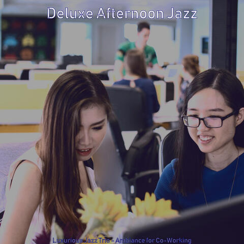 Luxurious Jazz Trio - Ambiance for Co-Working