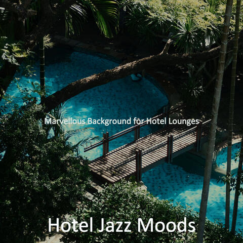 Marvellous Background for Hotel Lounges