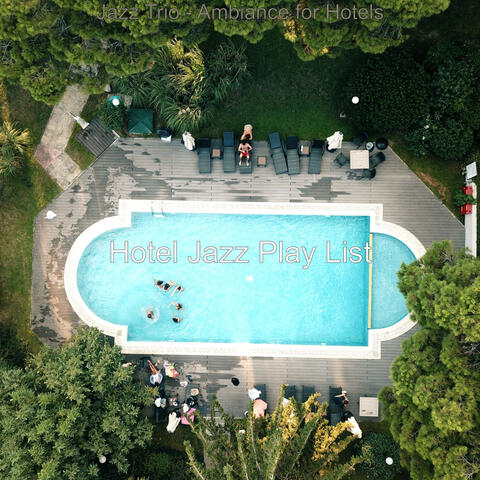 Jazz Trio - Ambiance for Hotels