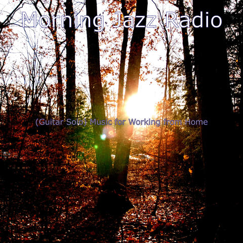 (Guitar Solo) Music for Working from Home
