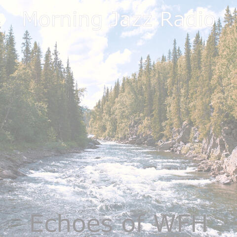 Echoes of WFH