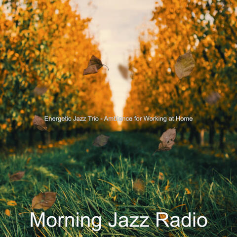Energetic Jazz Trio - Ambiance for Working at Home