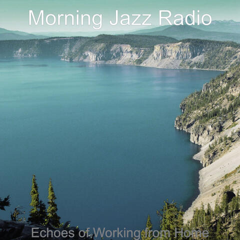 Echoes of Working from Home