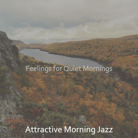 Feelings for Quiet Mornings