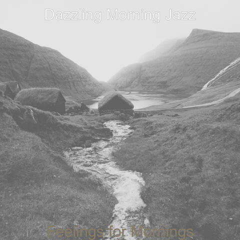 Feelings for Mornings