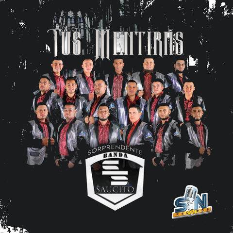 La sorprendente banda el saucito