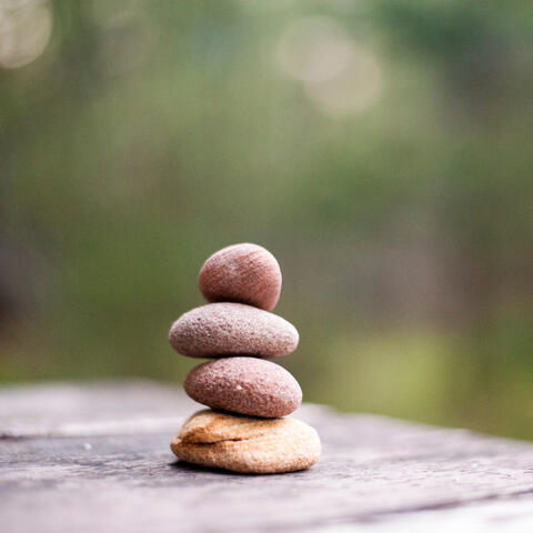 White Noise for Focus and Concentration, White Noise for Studying, Sleeping White Noise Sounds