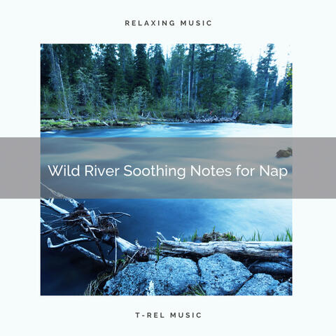 2021 New: Wild River Soothing Notes for Nap