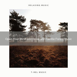 Take a Nap and Feel the Power with Soft Nature Songs