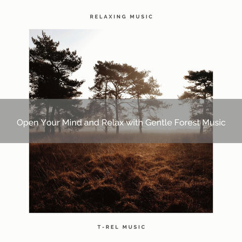 2021 New: Open Your Mind and Relax with Gentle Forest Music