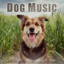 Instrumental Music For Pet Relaxation