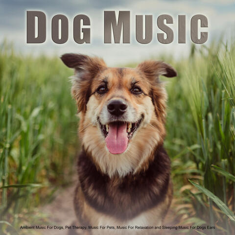 Dog Music: Ambient Music For Dogs, Pet Therapy, Music For Pets, Music For Relaxation and Sleeping Music For Dogs Ears