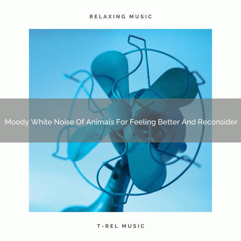 2021 New: Moody White Noise Of Animals For Feeling Better And Reconsider