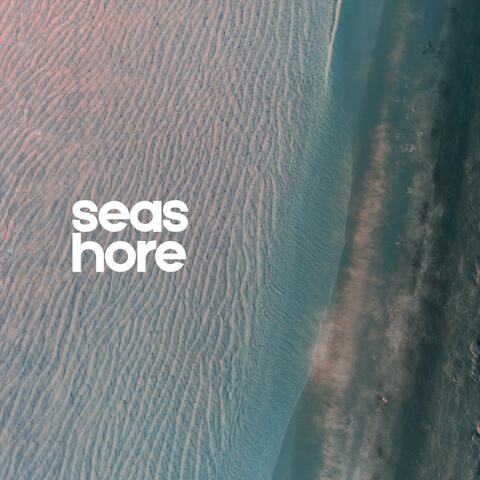 Seashore