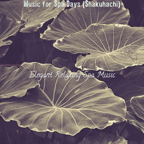 Music for Spa Days (Shakuhachi)
