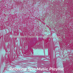 Mysterious Guitar and Flute - Vibe for Rejuvenating Massages