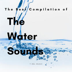 Ocean Sounds for Lovely Joy