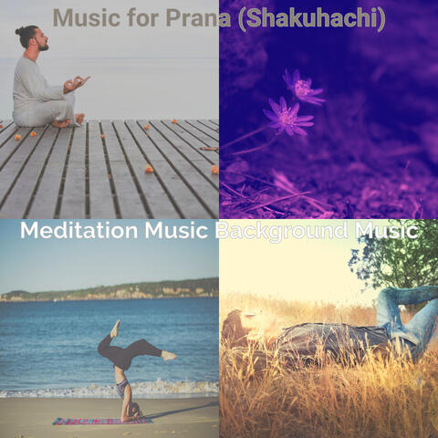 Music for Prana (Shakuhachi)