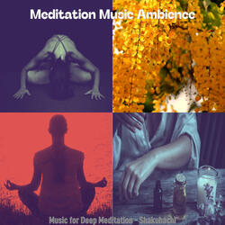 Inspiring Ambiance for 1 Hour Meditation