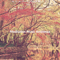 Calm Ambiance for 1 Hour Meditation