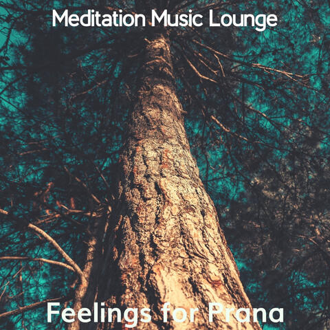 Feelings for Prana