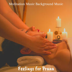 Subtle Shakuhachi and Harps - Vibe for 1 Hour Meditation