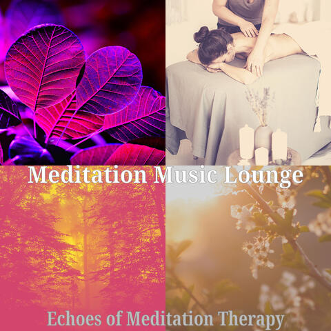 Echoes of Meditation Therapy