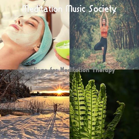 Feelings for Meditation Therapy