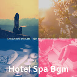 Background for Hotel Spas