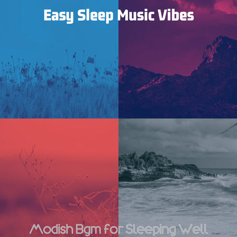 Modish Bgm for Sleeping Well