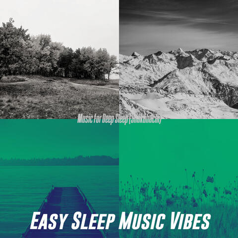 Music for Deep Sleep (Shakuhachi)