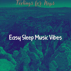 Shakuhachi and Koto Soundtrack for Sleeping Well