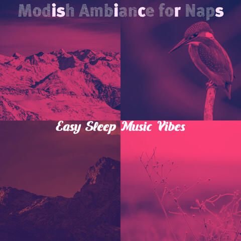 Modish Ambiance for Naps