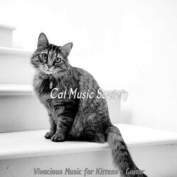 Trio Jazz Soundtrack for Training Your Cat