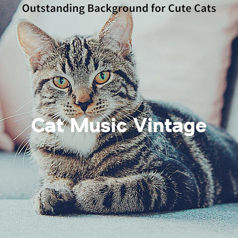 Outstanding Background for Cute Cats
