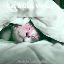 Playful Jazz Guitar Trio - Vibe for Cats