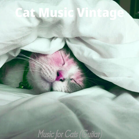 Music for Cats (Guitar)