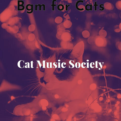 Bgm for Cats
