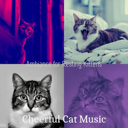 Background for Resting Kittens