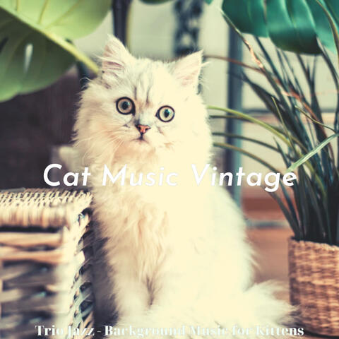 Trio Jazz - Background Music for Kittens