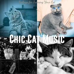 Trio Jazz Soundtrack for Cute Cats
