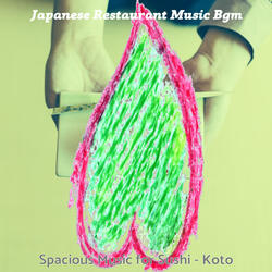 Sublime Koto and Strings - Vibe for Ramen