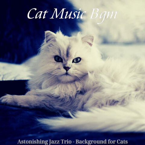 Astonishing Jazz Trio - Background for Cats